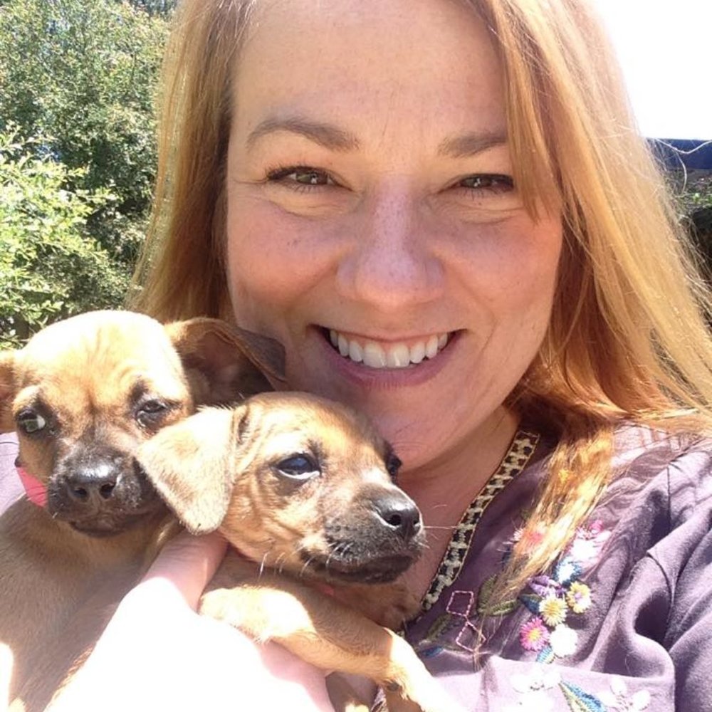Meet your Posher, Julie